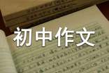 美麗的青島我的家初中作文800字