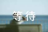 等待的作文5篇(精華)