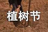 2022年植樹節(jié)國旗下演講稿通用
