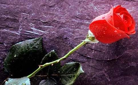 ���l(xi��ng)��õ�廨����